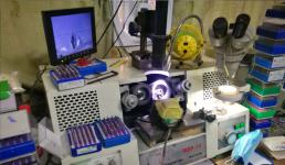 从国漫《哪吒》爆红看PCB产业的发展